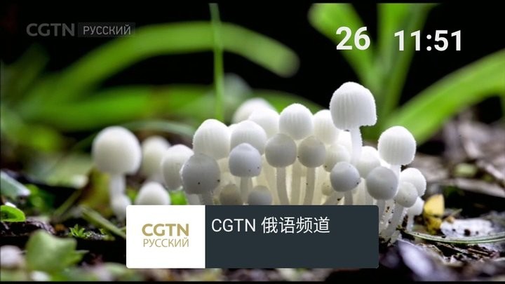 我的电视0官方版图2