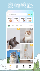 桌面宠物壁纸手机正版图4