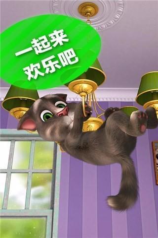 会说话的汤姆猫游戏纯净最新版图3