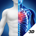 3D人体解剖图谱手机最新版