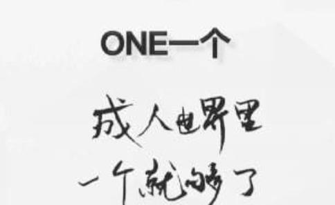 one一个致敬韩寒版