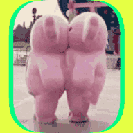 贴贴appv1.0