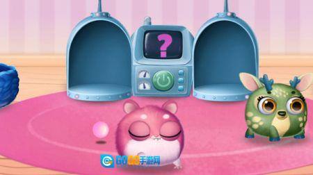 神秘融合宠物图3
