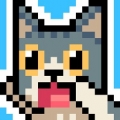 猫猫跳跃版