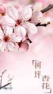 柯坪好地方图3