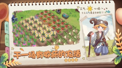 四季物语(4)