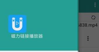 免费磁力播放器