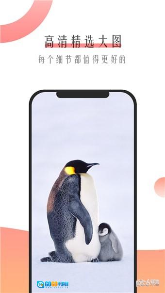 米柚壁纸图1