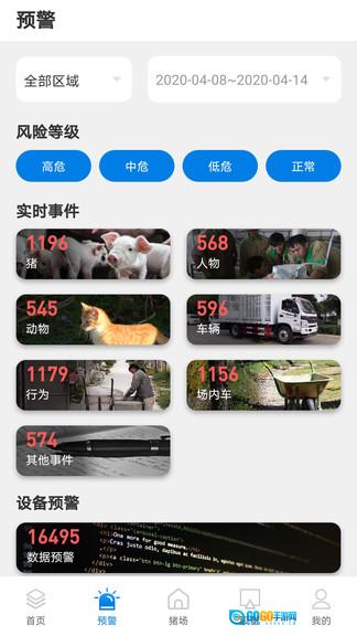 猪小智图3