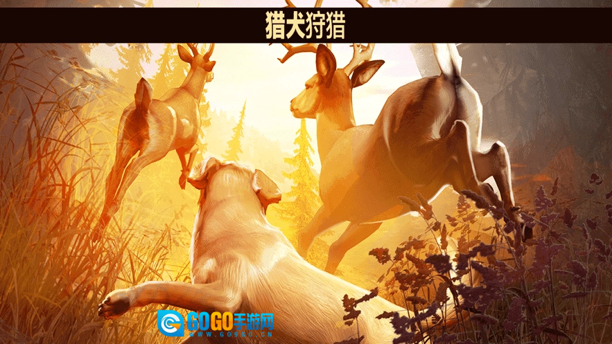 猎鹿20(Animal Hunter)游戏安装包图2