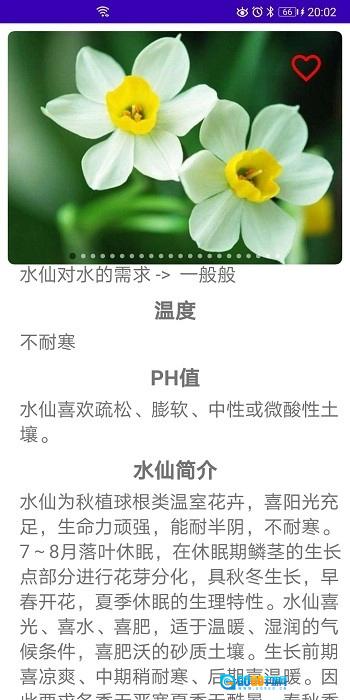 绿植花卉图2