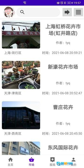绿植花卉图3
