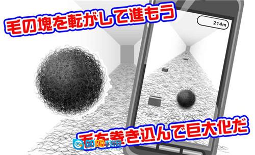 毛塊图1