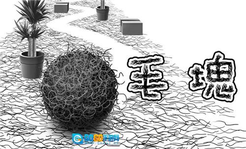 毛塊图3