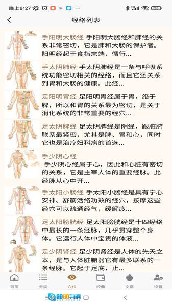 穴位图谱大全图1