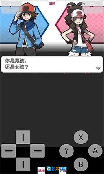口袋妖怪白2图4