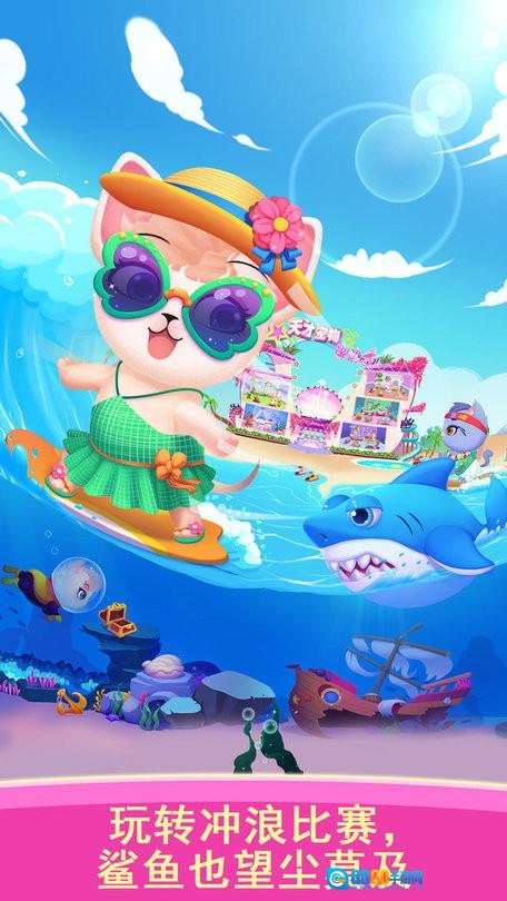天才宠物海滨秀图2