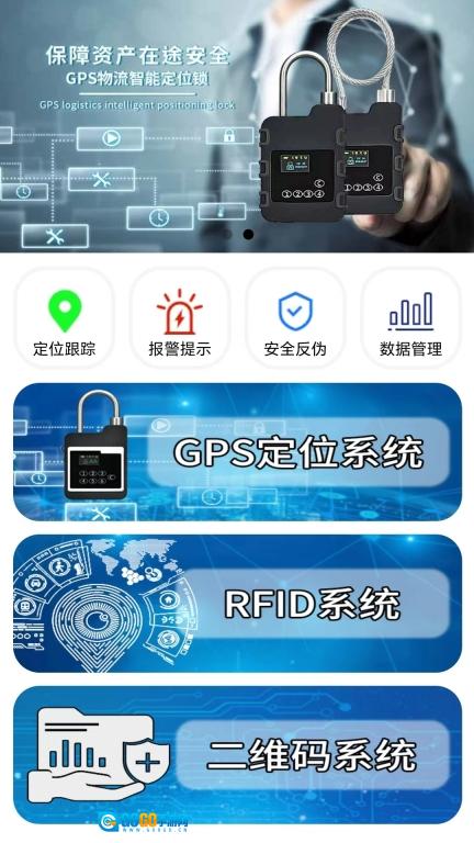 鸽子鸟图3
