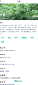 乐享花苑图2