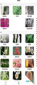 乐享花苑图1