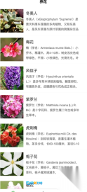 乐享花苑图4