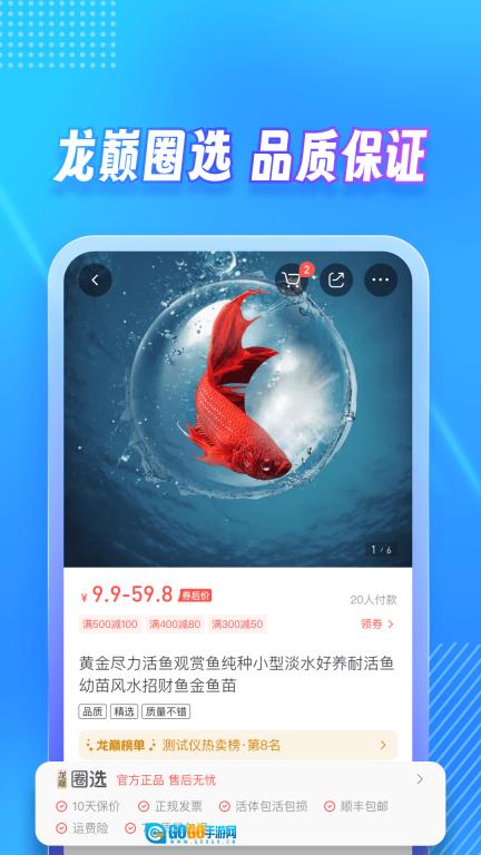 龙巅图5