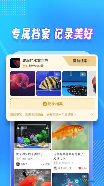 龙巅图4