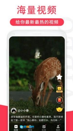 辣椒短视频图3