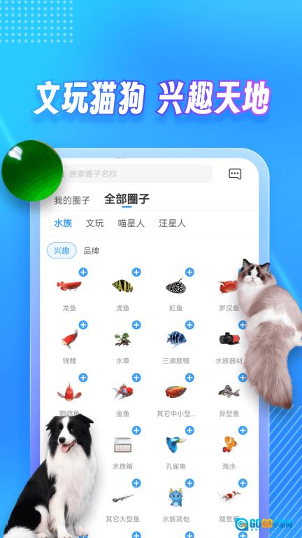 龙巅图2