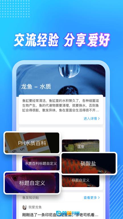 龙巅图3