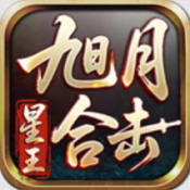 旭月星王合击