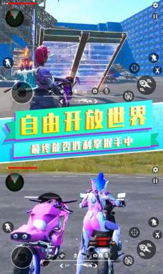 吃鸡战场之夜无广告版图3