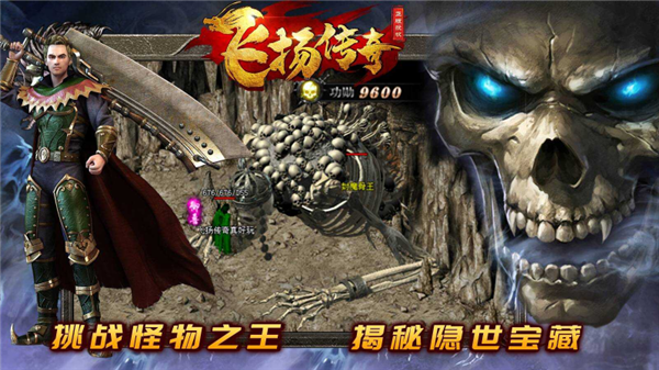飞扬九职业图4
