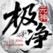 极净传世元神版