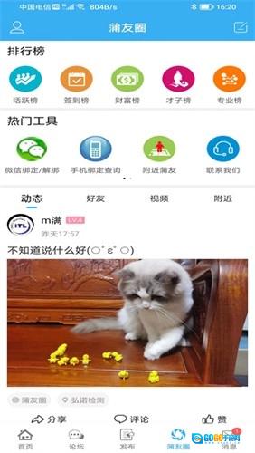 蒲公英图5