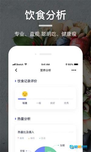 薄荷食物库图1