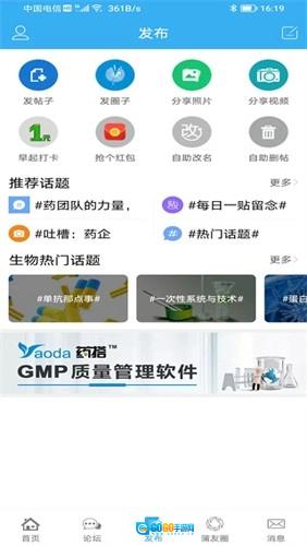 蒲公英图2