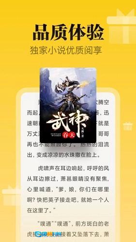 秘读小说图2