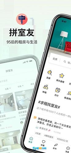拼室友图1