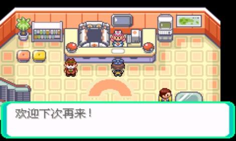 口袋妖怪漆黑的魅影游戏正版(2)
