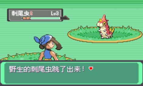 口袋妖怪漆黑的魅影游戏正版(3)