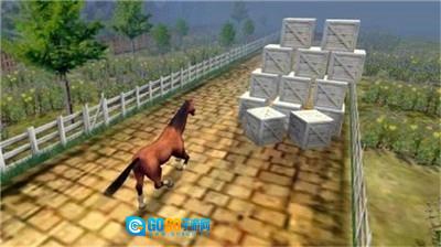 训练马匹模拟器(Horse Games)通用版图1