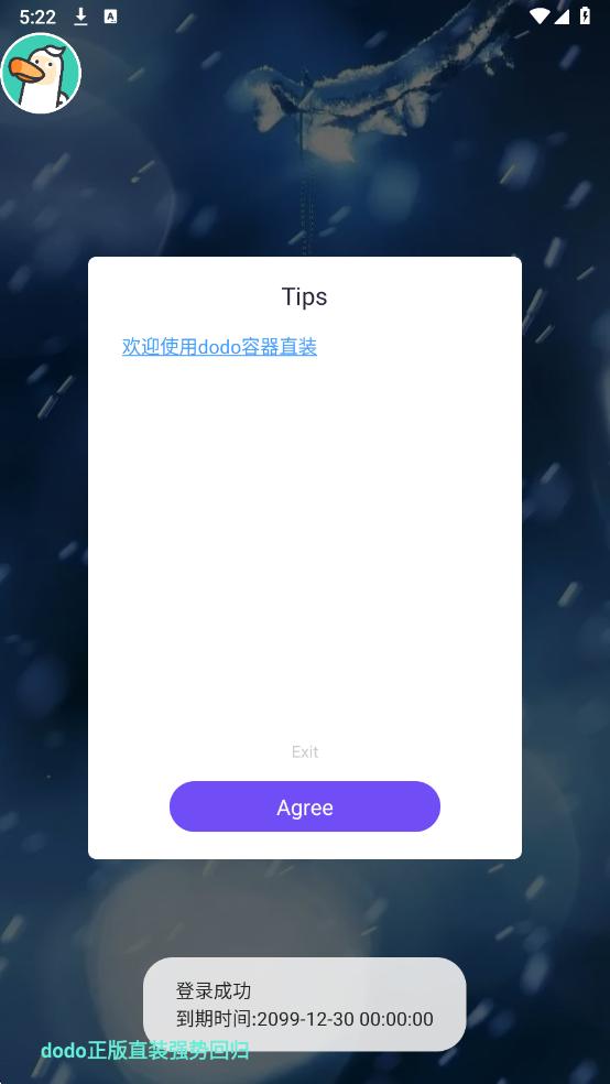 DoDo直装(3)