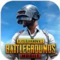 pubgmobile安卓免费版