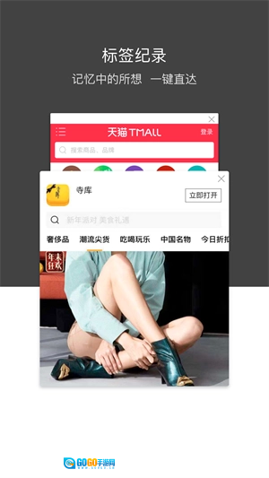 绿叶浏览器手机版图3