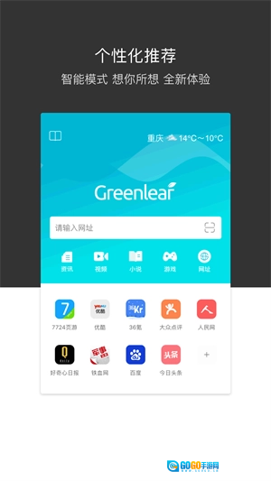 绿叶浏览器手机版图2