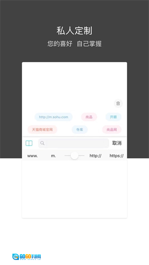 绿叶浏览器手机版图1
