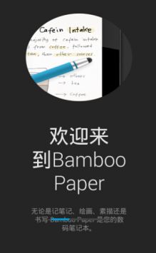 bamboopaper正版图4