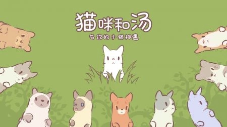 猫咪和汤国际版图4