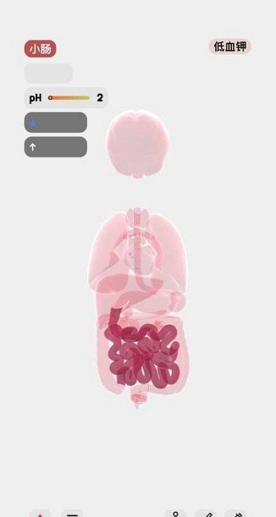 生命模拟器life安卓直装版图2